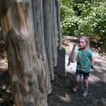 Das Bild zeigt ein Kind an einem großen Holz-Xylophon aus Baumstämmen.