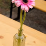DSCF2136
