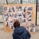 DSCF2583